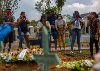 La cepa de Manaos del coronavirus que circula en la Argentina