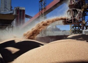 En 2021 Argentina exportó el mayor volumen de granos en su historia