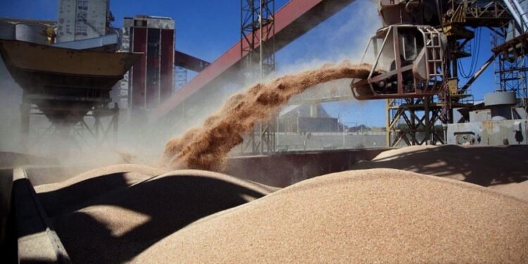 En 2021 Argentina exportó el mayor volumen de granos en su historia