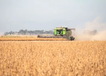 Tras la invasión de Putin a Ucrania, sube el precio de la soja y roza los USD 600