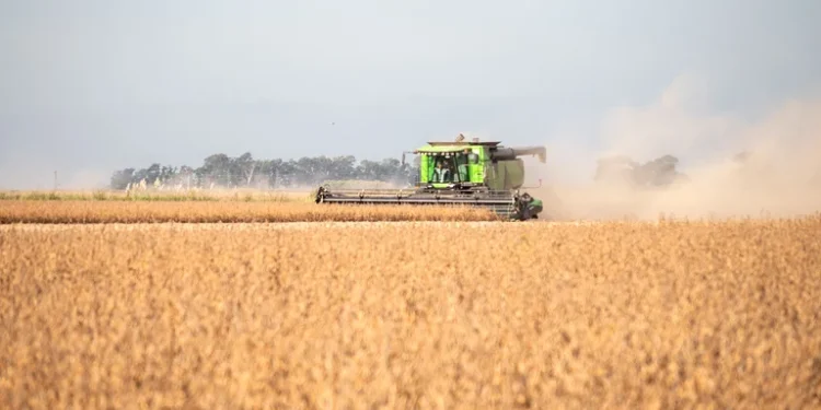 Tras la invasión de Putin a Ucrania, sube el precio de la soja y roza los USD 600