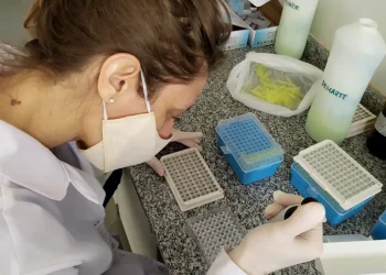 Científicas argentinas desarrollaron un test para COVID-19 que podrá usarse en humanos y animales