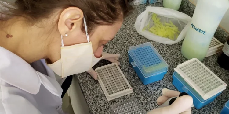 Científicas argentinas desarrollaron un test para COVID-19 que podrá usarse en humanos y animales