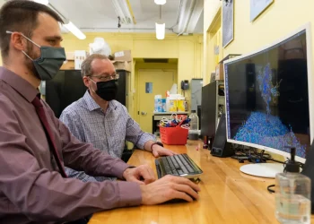 Avance científico contra el COVID: rediseñaron glóbulos rojos para activar el sistema inmunitario