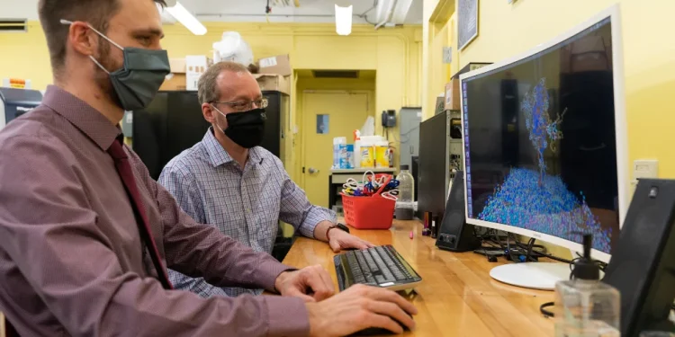 Avance científico contra el COVID: rediseñaron glóbulos rojos para activar el sistema inmunitario