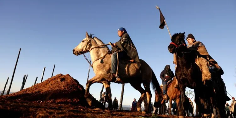 Dirigentes políticos y víctimas de ataques de mapuches aseguran que hay grupos en Argentina y Chile que son financiados y asesorados por el narcoterrorismo