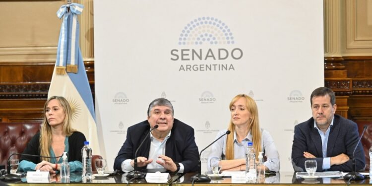 El Senado inicia el debate del proyecto para regularizar deudas previsionales