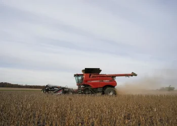 El Banco Central recibirá un bono del Tesoro para absorber la mayor emisión de pesos que significa un dólar a $200 para la soja