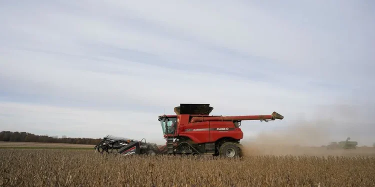 El Banco Central recibirá un bono del Tesoro para absorber la mayor emisión de pesos que significa un dólar a $200 para la soja