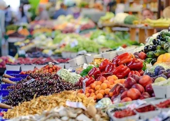 La ministra de Trabajo señaló que bajar la inflación no es la prioridad en el mes del Mundial: “Primero que Argentina salga campeón”