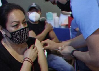 Publican los resultados de un estudio realizado por el Grupo Techint sobre las vacunas anti-covid