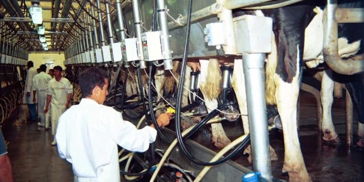 Lechería: el campo resiste la reducción del precio a la producción