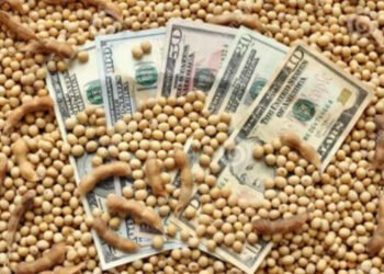 FMI: el acuerdo abre la puerta a otro “dólar soja” pero el Gobierno deberá acelerar la quita de subsidios