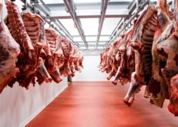 Las exportaciones de carne tuvieron el registro más alto en los últimos 57 años