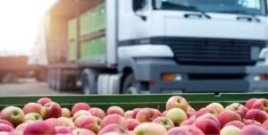 Exportaciones PyME en alza: cerraron 2024 superando los 10 mil millones de dólares