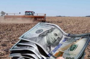 Incremento en la liquidación de divisas: agroexportadores aportaron 2.073 millones de dólares en enero