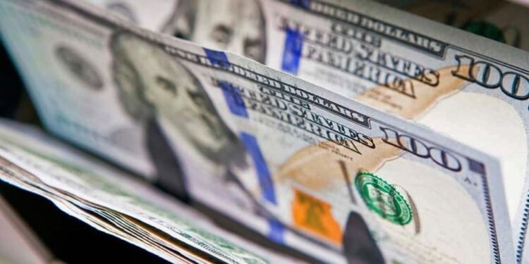 Qué puede pasar con el dólar en los próximos meses si se levanta el cepo o si continúa