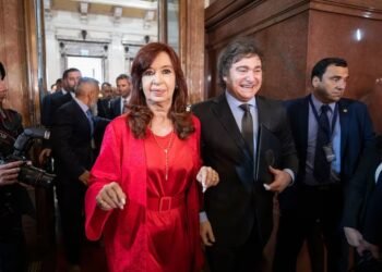Fuerte crítica de Cristina Kirchner a Milei tras el despido del titular de ANSES: “Te dije que era un burro”