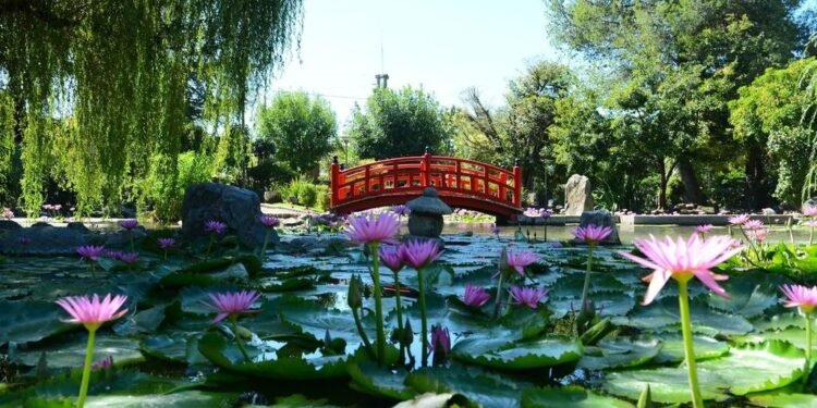 Vacaciones de invierno: un parque de entretenimiento en el predio floral será la principal atracción de Escobar