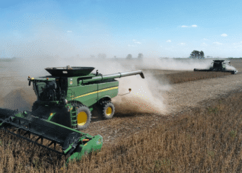Julio histórico: el agro inyecta dólares y oxigena al país.