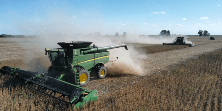 Julio histórico: el agro inyecta dólares y oxigena al país.