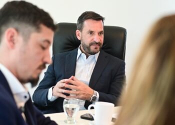 Ariel Sujarchuk presentó proyectos de ley contra la reiterancia de detenidos y para frenar la venta de armas