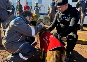 Foco en Vaca Muerta: Milei con empresarios.