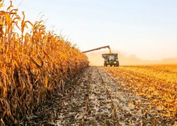 El Gobierno quitó retenciones tras exportación récord.