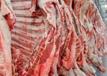 Escasez de carne: Argentina, el gran beneficiado.