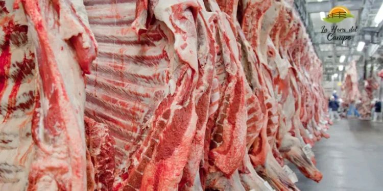 Escasez de carne: Argentina, el gran beneficiado.