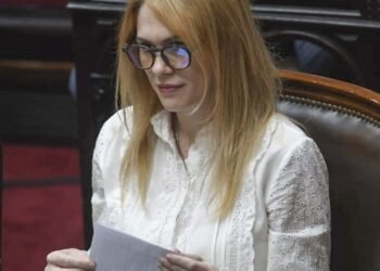 Lemoine: “Efedrina financió la campaña de Cristina”