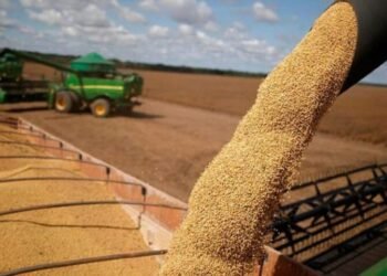 Retenciones cero y apertura al mundo, la voz del campo.