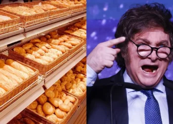 Panaderías en crisis: Molinos cierran el grifo.