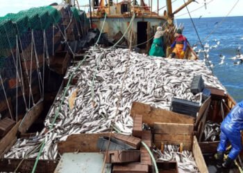 Multas de pesca: cambios en el régimen de pagos