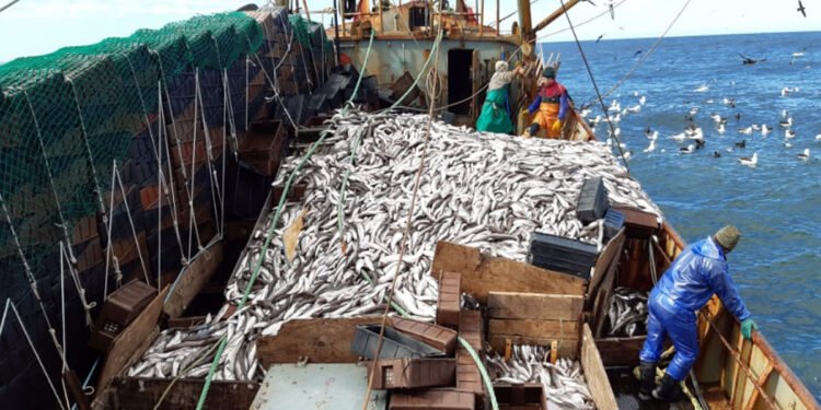 Multas de pesca: cambios en el régimen de pagos