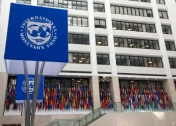 Críticas a Milei desde el FMI por su equipo.