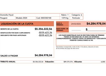 CABA: Revelan por qué ciertas patentes se dispararon más del 100% en enero.