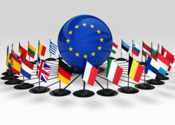 Aplicación del Mercosur: La Decisión de la Unión Europea.