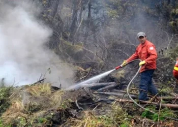 Emergencia en Chubut: El pedido tras los incendios.