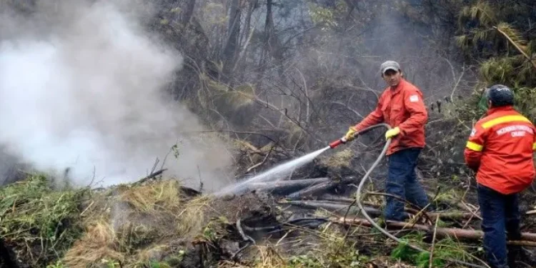 Emergencia en Chubut: El pedido tras los incendios.