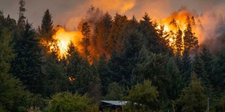 El reclamo de Torres: Acelerar la ley de castigo a incendiarios.