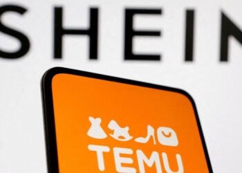 Bienes Finales y Shein: La Preocupación por Importaciones Récord.