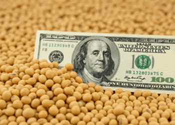 Liquidación de divisas del agro: Enero con aumento del 82%.