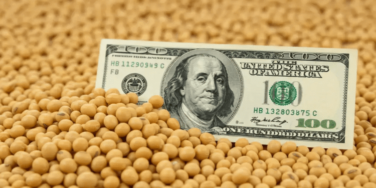 Liquidación de divisas del agro: Enero con aumento del 82%.
