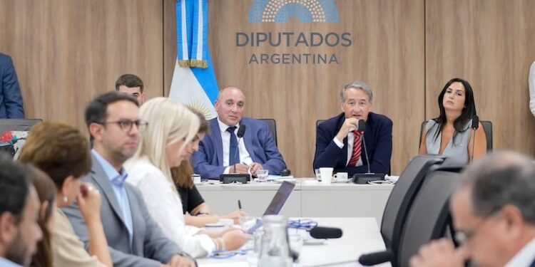 El Gobierno avanza con la nueva Ley de Glaciares a pesar de la oposición
