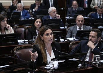 El Senado discute la reforma de la Ley de Salud Mental: cambios en internaciones y un papel clave para los psiquiatras