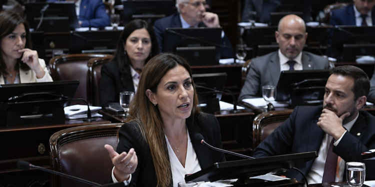 El Senado discute la reforma de la Ley de Salud Mental: cambios en internaciones y un papel clave para los psiquiatras