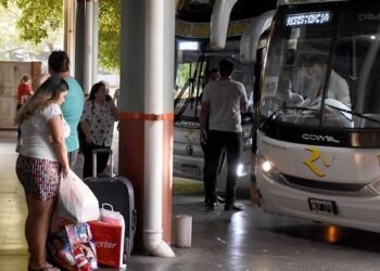 El Gobierno suspende compensaciones a empresas por pasajes gratuitos para personas con discapacidad