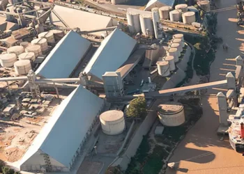 Fin de la disputa por Vicentin: Molinos Agro y Dreyfus se retiran de la puja