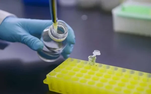 Actualización en biotecnología: nuevas pautas para la aprobación de microorganismos genéticamente modificados